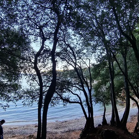 Apartment Istria Sea Side 207&208 Labin (Istria)